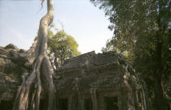 Ta Prohm