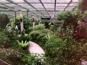 butterfly farm