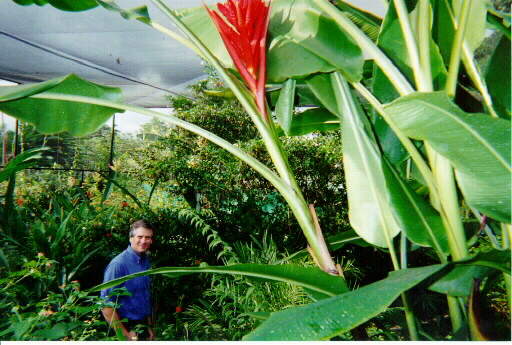 butterfly garden